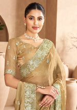 Khaki Satin Cut, Embroidered, Sequins, Stone and Zari Work Trendy Saree