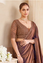 Brown Patch Border and Embroidered Work Fandy Traditional Saree