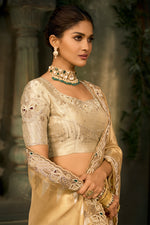Golden Beige Silk Saree with Embroidered Border Designer Blouse