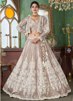 Light Brown Embroidered Net Lehenga Choli With Net Jacket