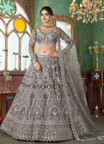 Grey Net Lehenga with Heavy Embroidery and Stone Work