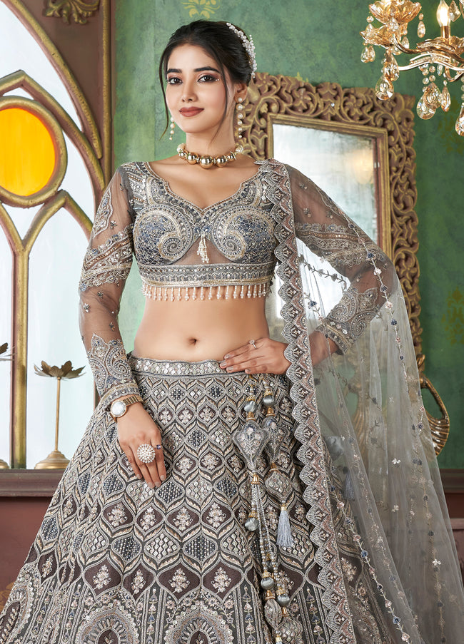 Grey Net Lehenga with Heavy Embroidery and Stone Work